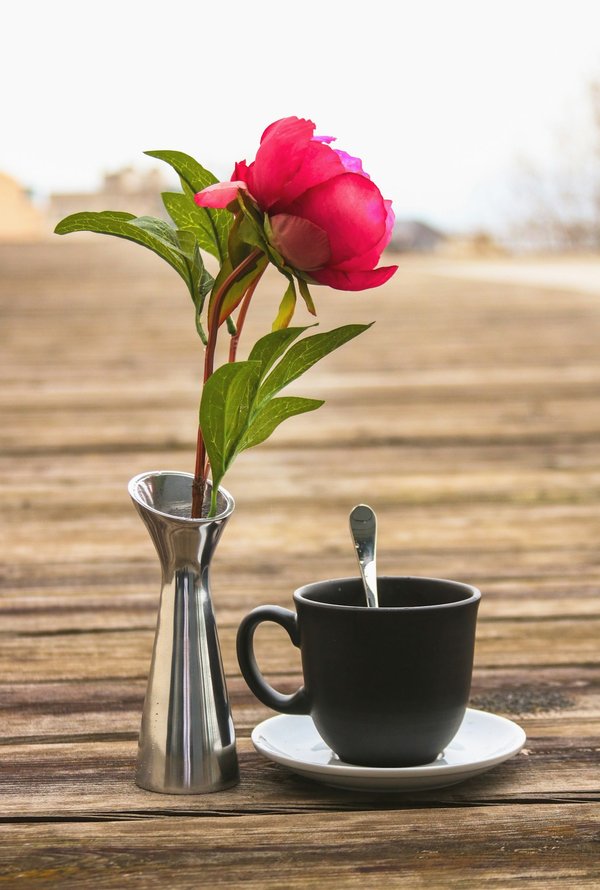 Comment préparer un bain d'huile pour les cheveux avec de l'huile d'olive et du romarin?